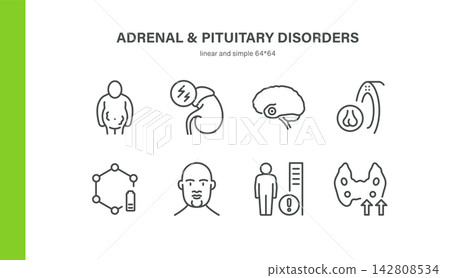 Adrenal and Pituitary Disorders Simple Icons Set. Related Vector Line Icons. Contains Cushing Syndrome, Acromegaly, Gynecomastia and more. Adrenal and Pituitary Disorders Simple Icons Set. Related Vector Line Icons. Contains Cushing Syndrome, Acromegaly, Gynecomastia and more. 142808534