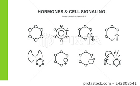 Hormones and Cell Signaling Related Vector Line Icons Set. Contains Receptor, Secretion, Estrogen, Testosterone and more. Hormones and Cell Signaling Related Vector Line Icons Set. Contains Receptor, Secretion, Estrogen, Testosterone and more. 142808541