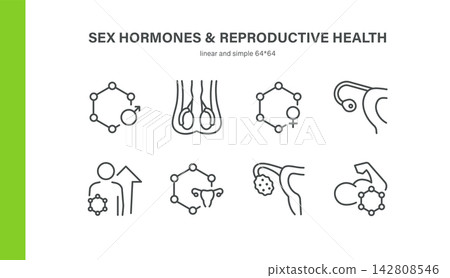 Sex Hormones and Reproductive Health Related Vector Line Icons Set. Contains Testosterone, Estrogen, Testicles, Ovary and more. Sex Hormones and Reproductive Health Related Vector Line Icons Set. Contains Testosterone, Estrogen, Testicles, Ovary and more. 142808546