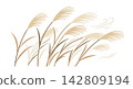 Japanese pampas grass susuki blowing in the wind vector illustration 142809194