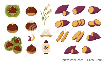 Autumn food and symbols set: chestnuts, sweet potatoes and Tsukimi elements vector illustration 142809208
