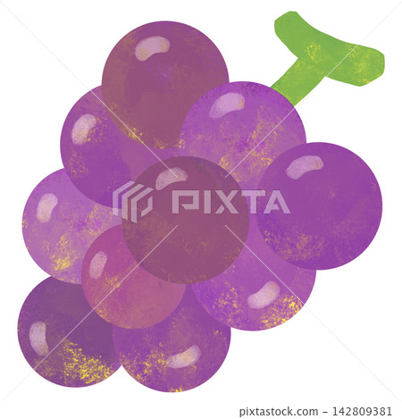 A simple and cute illustration of grapes A simple and cute illustration of grapes 142809381