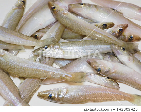 捕獲了大量日本鱈魚。 捕獲了大量日本鱈魚。 142809423