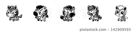 Vector illustration of cute cartoon zebras Vector illustration of cute cartoon zebras 142809593