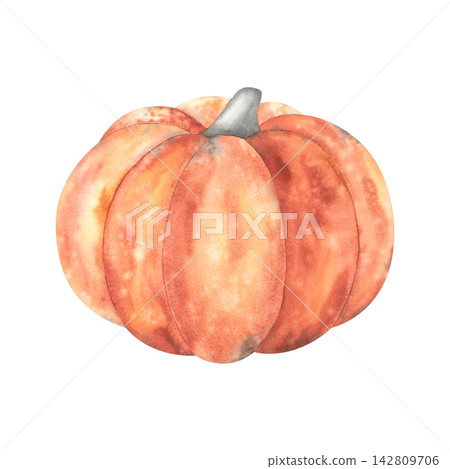 Watercolor illustration of a ripe orange pumpkin. An autumn harvest from the farm or garden. A pumpkin for Halloween or Thanksgiving. suitable for decoration or for preparing vegetarian dishes. 142809706
