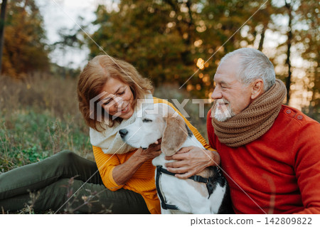 Senior couple walking dog in autumn forest. Senior couple walking dog in autumn forest. 142809822