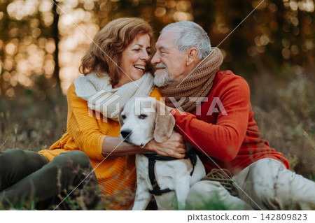 Senior couple walking dog in autumn forest. 142809823