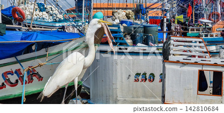 The Pedra do Peixe fish market at The Pedra do Peixe fish market at 142810684