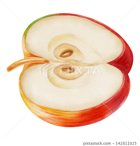 Watercolor illustration of a fresh half red apple with core and seeds isolated on a white background. Perfect for product logos, market posters, food packaging, textile patterns, Wedding invitations Watercolor illustration of a fresh half red apple with core and seeds isolated on a white background. Perfect for product logos, market posters, food packaging, textile patterns, Wedding invitations 142811025
