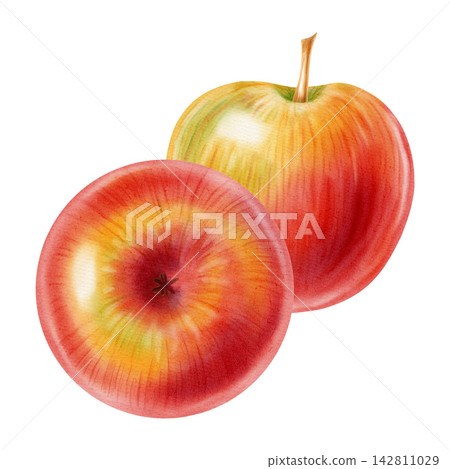 Watercolor illustration of whole red apple and a half apple core set isolated on white background. Perfect for product logo, market posters, food packaging, textile patterns, Wedding invitations Watercolor illustration of whole red apple and a half apple core set isolated on white background. Perfect for product logo, market posters, food packaging, textile patterns, Wedding invitations 142811029