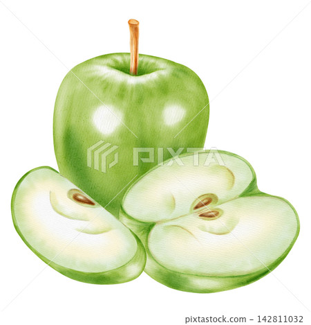 Watercolor illustration of a whole fresh green apple with cut slice and half core isolated on white background. Perfect for product logo, market posters, food packaging, textile patterns Watercolor illustration of a whole fresh green apple with cut slice and half core isolated on white background. Perfect for product logo, market posters, food packaging, textile patterns 142811032