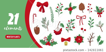 Winter berry plant element set for christmas botanical design Winter berry plant element set for christmas botanical design 142811061