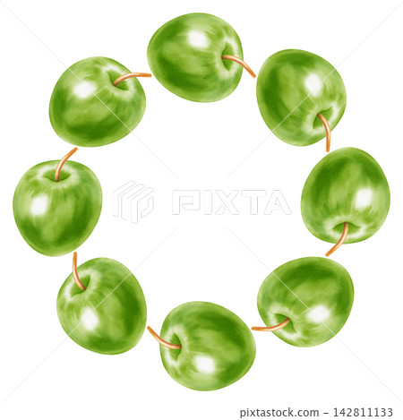 Watercolor green apple wreath with whole fresh fruits and halved slices isolated on white background. Perfect for product logo, posters, packaging, textile, market advertising, label, card Watercolor green apple wreath with whole fresh fruits and halved slices isolated on white background. Perfect for product logo, posters, packaging, textile, market advertising, label, card 142811133