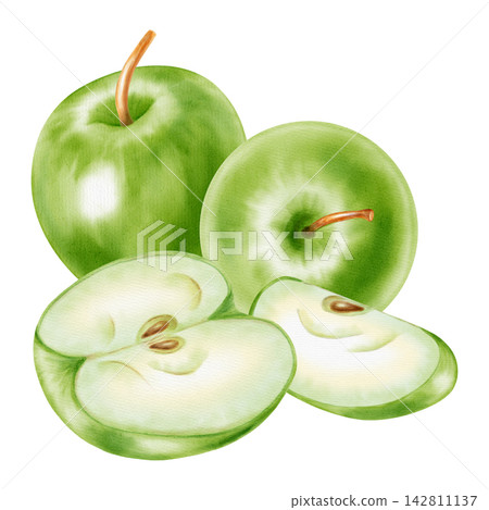 Watercolor illustration of a whole fresh green apple with cut slice and half core isolated on white background. Perfect for product logo, market posters, food packaging, textile patterns 142811137