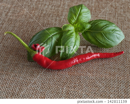Red Chili Pepper and Fresh Basil Leaves on Rustic Burlap for food, gardening, and healthy cooking concepts. Red Chili Pepper and Fresh Basil Leaves on Rustic Burlap for food, gardening, and healthy cooking concepts. 142811139