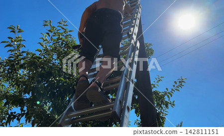 Male labor climb a ladder attached to utility pole while hold drill, preparing to install equipment. Worker perform installation work at height carefully securing components during construction tasks Male labor climb a ladder attached to utility pole while hold drill, preparing to install equipment. Worker perform installation work at height carefully securing components during construction tasks 142811151