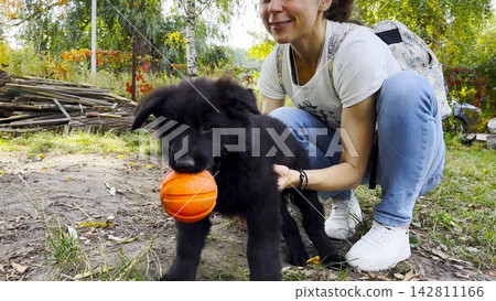 Young girl plays with black belgian shepherd puppy in summer garden, offering a ball during joyful game. The scene capturing a moment of fun, trust, and active bonding between human and dog. Slow 142811166