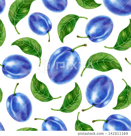 Watercolor seamless pattern with ripe blue plums and green leaves. Perfect for product logo, posters, packaging, textile, market advertising, wedding invitation, label, card Watercolor seamless pattern with ripe blue plums and green leaves. Perfect for product logo, posters, packaging, textile, market advertising, wedding invitation, label, card 142811169