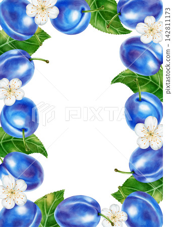 Watercolor frame with ripe plums, green leaves, white flowers isolated on white background. Perfect for product logo, posters, packaging, textile, market advertising, wedding invitation, label, card Watercolor frame with ripe plums, green leaves, white flowers isolated on white background. Perfect for product logo, posters, packaging, textile, market advertising, wedding invitation, label, card 142811173