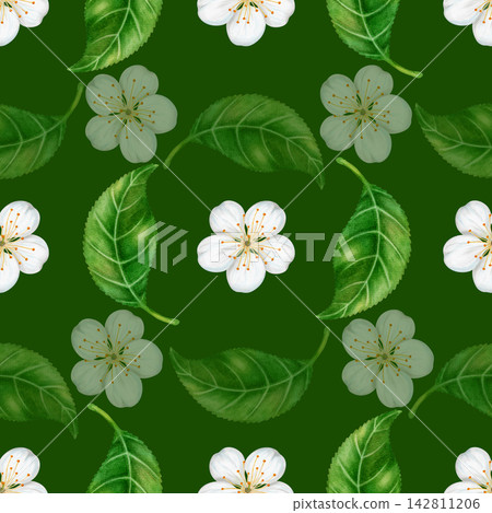 Watercolor seamless pattern featuring white plum blossom flowers and green leaves. Minimal botanical floral design for textile, fabric, packaging, stationeries. Watercolor seamless pattern featuring white plum blossom flowers and green leaves. Minimal botanical floral design for textile, fabric, packaging, stationeries. 142811206