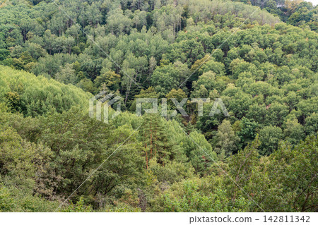 Summer Mountains Landscape with Green forest. Summer Mountains Landscape with Green forest. 142811342