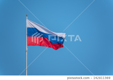 Russian tricolor flag waving in the wind against a blue sky. Fieldbird sits on a branch in spring with a blurred background. 142811369