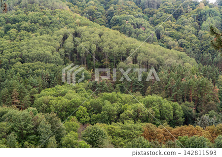 Summer Mountains Landscape with Green forest. Summer Mountains Landscape with Green forest. 142811593
