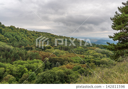 Summer Mountains Landscape with Green forest. Summer Mountains Landscape with Green forest. 142811596
