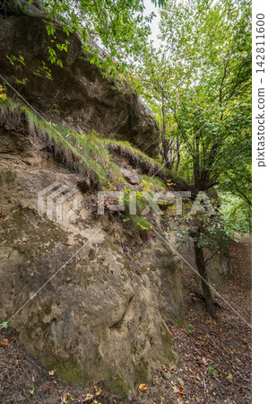 Hillside cross section reveals layered soil and rock beneath dense greenery. Exposed roots and erosion patterns highlight nature slow sculpting over time Hillside cross section reveals layered soil and rock beneath dense greenery. Exposed roots and erosion patterns highlight nature slow sculpting over time 142811600