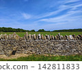 Traditional stone walls and sheep pastures of the Cotswolds 142811833