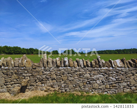 Traditional stone walls and sheep pastures of the Cotswolds Traditional stone walls and sheep pastures of the Cotswolds 142811833