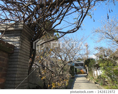 2014年,香川縣,高松市,風景,湖西町,寺廟,萬德寺,第二部分 2014年,香川縣,高松市,風景,湖西町,寺廟,萬德寺,第二部分 142811972