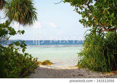 Sandy pathway leading to a tropical beach with clear turquoise water on Omadhoo island, Maldives. Natural frame of green vegetation opening to the ocean. Summer sea vacation destination 142812098