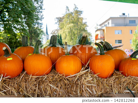 Row of fresh round orange pumpkins resting on straw bales at an outdoor autumn market with buildings in background Row of fresh round orange pumpkins resting on straw bales at an outdoor autumn market with buildings in background 142812268