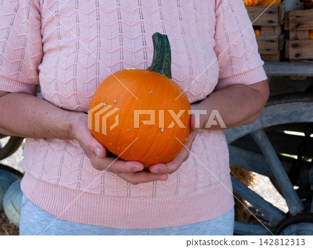 Autumn season pumpkin fair at a downtown farmers market in Langenthal where people are choosing and holding a fresh orange pumpkin Autumn season pumpkin fair at a downtown farmers market in Langenthal where people are choosing and holding a fresh orange pumpkin 142812313