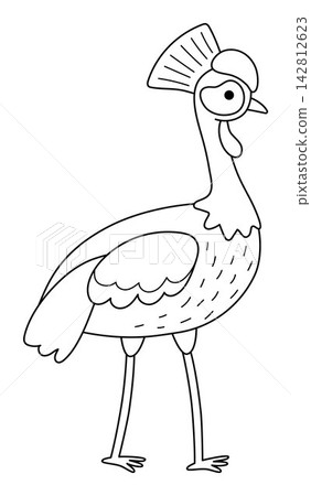 Vector cartoon black and white crowned crane. African or safari animal clipart. Cute savannah bird icon for kids. Line savanna element. Africa wildlife illustration, coloring page Vector cartoon black and white crowned crane. African or safari animal clipart. Cute savannah bird icon for kids. Line savanna element. Africa wildlife illustration, coloring page 142812623