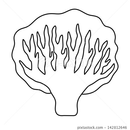 Vector cartoon black and white spurge. Funny African or safari plant clipart. Cute savannah tree icon for kids. Line savanna element. Africa flora illustration, coloring page Vector cartoon black and white spurge. Funny African or safari plant clipart. Cute savannah tree icon for kids. Line savanna element. Africa flora illustration, coloring page 142812646