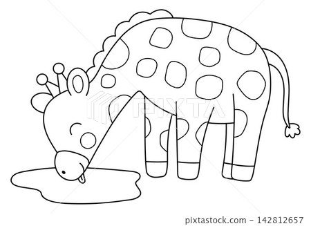 Vector cartoon black and white giraffe drinking water. Funny African or safari animal clipart. Cute savannah icon for kids. Line savanna element. Africa wildlife illustration, coloring page Vector cartoon black and white giraffe drinking water. Funny African or safari animal clipart. Cute savannah icon for kids. Line savanna element. Africa wildlife illustration, coloring page 142812657