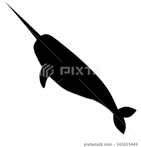 Narwhal whale black silhouette isolated on white background, arctic ocean animal vector icon with tusk. Narwhal whale black silhouette isolated on white background, arctic ocean animal vector icon with tusk. 142813449