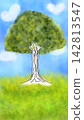 Big tree  142813547