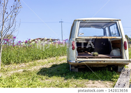 An old train car placed in a field of cosmos flowers in the autumn of Sera Highlands. An old train car placed in a field of cosmos flowers in the autumn of Sera Highlands. 142813656