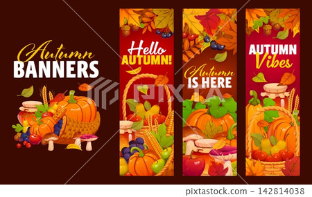 Season autumn banners with mushrooms, wheat stalks, berries, chestnut colored foliage and cornucopia with honey. Hello autumn banners with seasonal quotes and fall harvest of pumpkins and maple leaves Season autumn banners with mushrooms, wheat stalks, berries, chestnut colored foliage and cornucopia with honey. Hello autumn banners with seasonal quotes and fall harvest of pumpkins and maple leaves 142814038