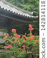 紫薇 142814118