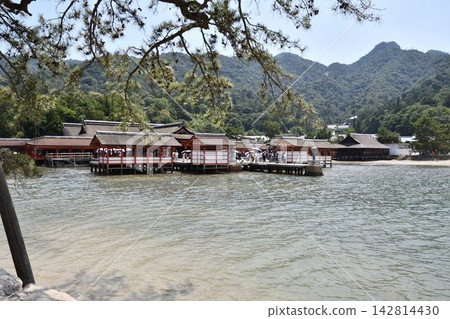嚴島神社 142814430
