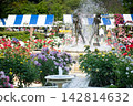 Satomi Park Rose Garden Ichikawa Rose Fair 142814632