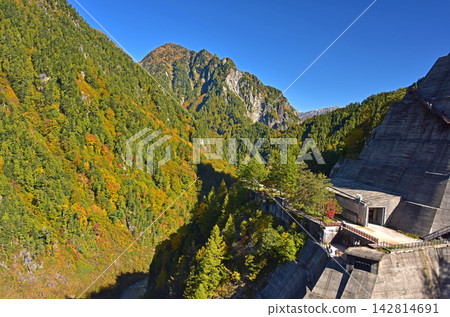 立山黑部阿爾卑斯山路線、黑部水壩的秋葉 142814691