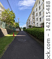 Apartment complex with well-maintained landscaping and roads within the complex. 142815488