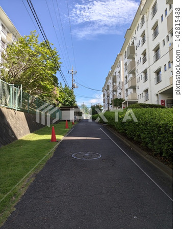 Apartment complex with well-maintained landscaping and roads within the complex. 142815488