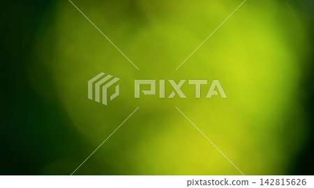 Abstract natural background with defocus. Blurred plants. Abstract natural background with defocus. Blurred plants. 142815626