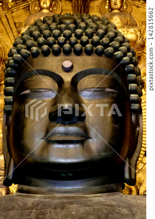 東大寺大佛殿，大佛，世界上最大的青銅佛像（奈良縣奈良市） 142815662